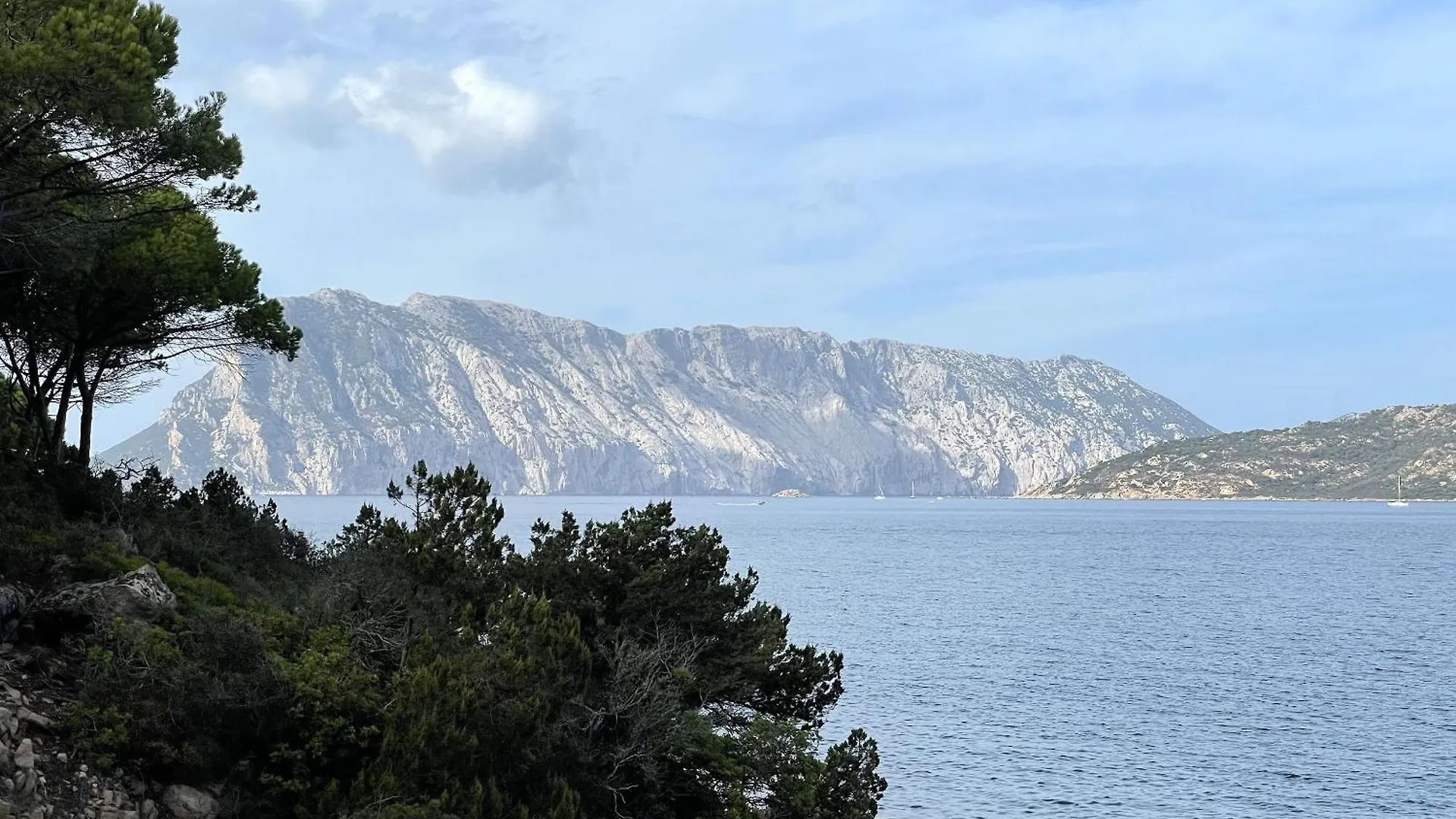 Villa Farfalle Con Strepitosa Scogliera Privata Capo Coda Cavallo İtalya