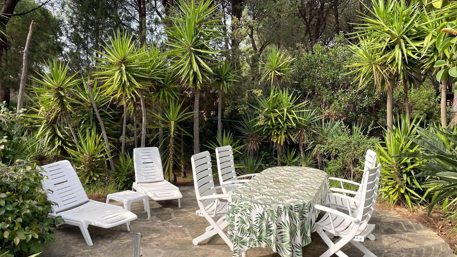 Villa Farfalle Con Strepitosa Scogliera Privata Capo Coda Cavallo 0*,  İtalya